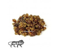 Siddh Guggal ( 50 Gm.) Available in 50 - 500 Gm.
